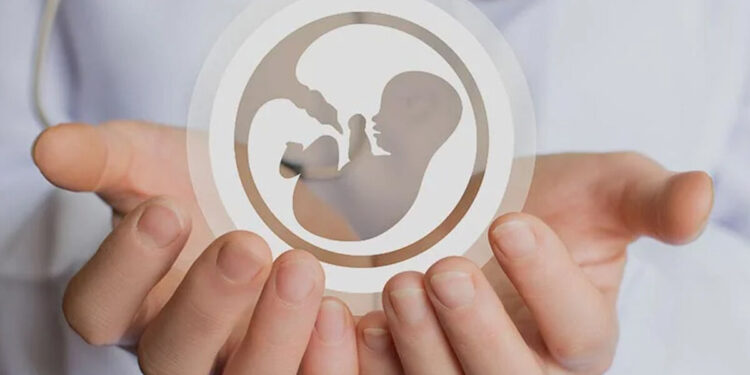 Iran Ranks Among the World’s Top 10 Countries in Infertility Treatment